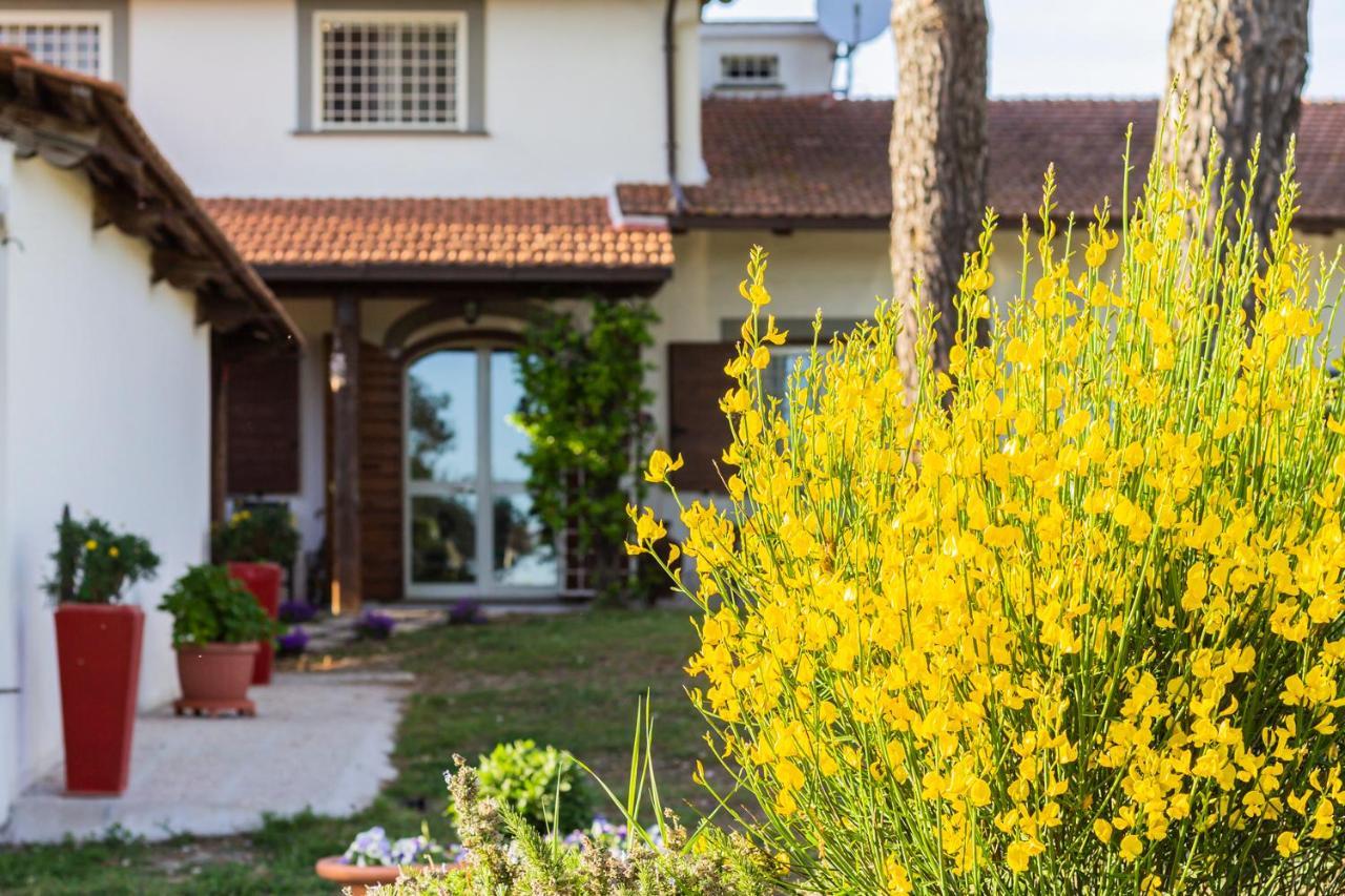 Casale Le Brecce B&B Отриколи Экстерьер фото